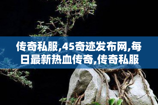 传奇私服,45奇迹发布网,每日最新热血传奇,传奇私服手游外挂,每日最新热血传奇