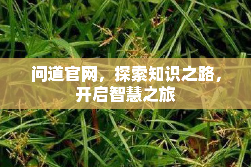 问道官网，探索知识之路，开启智慧之旅