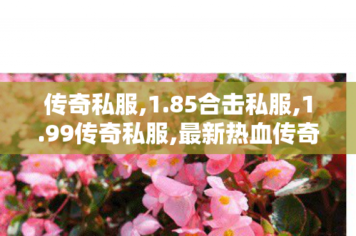 传奇私服,1.85合击私服,1.99传奇私服,最新热血传奇sf发布,1.99传奇私服