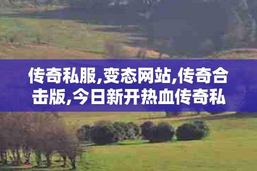 传奇私服,变态网站,传奇合击版,今日新开热血传奇私服,传奇合击版