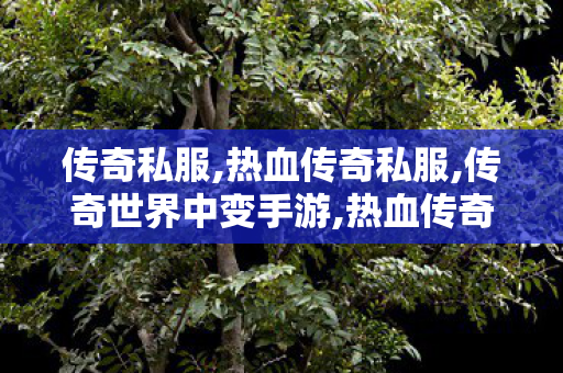 传奇私服,热血传奇私服,传奇世界中变手游,热血传奇sf单职业,传奇世界中变手游