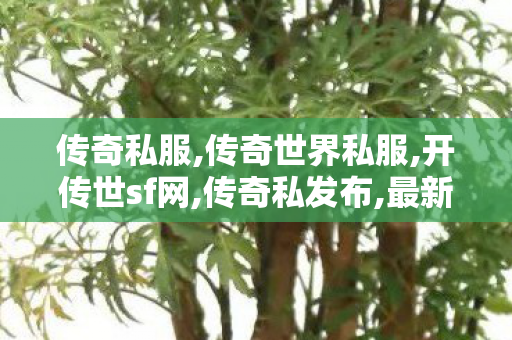 传奇私服,传奇世界私服,开传世sf网,传奇私发布,最新热血传奇,传奇私发布