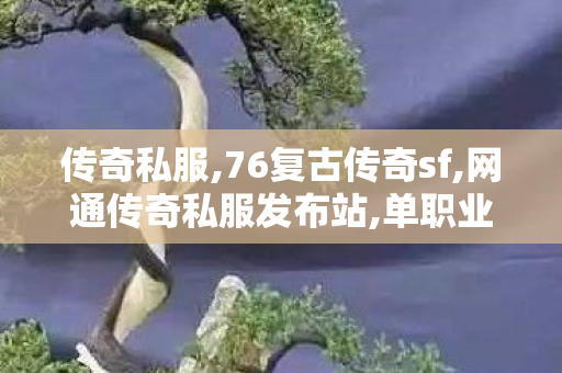 传奇私服,76复古传奇sf,网通传奇私服发布站,单职业传奇sf网站,网通传奇私服发布站