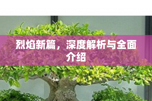 烈焰新篇，深度解析与全面介绍