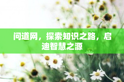 问道网，探索知识之路，启迪智慧之源