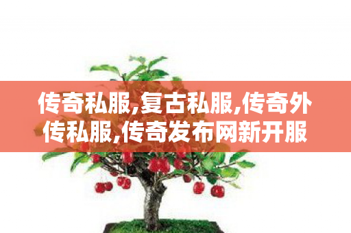 传奇私服,复古私服,传奇外传私服,传奇发布网新开服三端互通,传奇外传私服