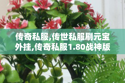 传奇私服,传世私服刷元宝外挂,传奇私服1.80战神版,传奇三端互通网站,传奇私服1.80战神版