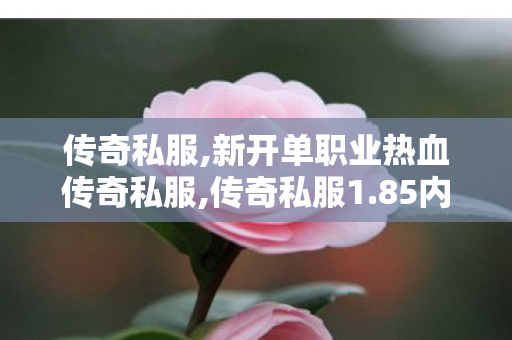 传奇私服,新开单职业热血传奇私服,传奇私服1.85内挂版,三端互通的传奇手游,传奇私服1.85内挂版
