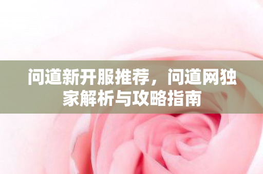 问道新开服推荐，问道网独家解析与攻略指南