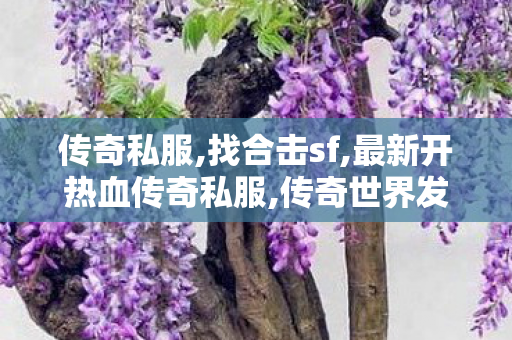传奇私服,找合击sf,最新开热血传奇私服,传奇世界发布网新服,最新开热血传奇私服