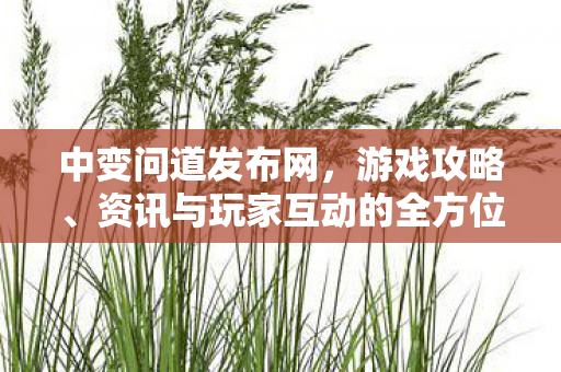 中变问道发布网，游戏攻略、资讯与玩家互动的全方位平台