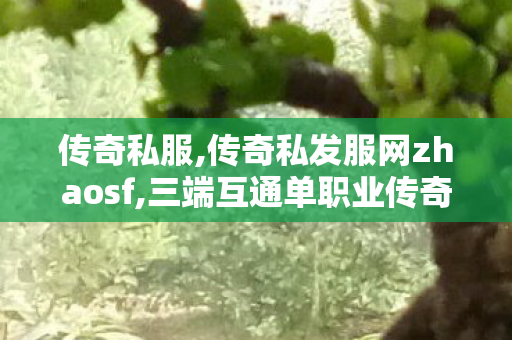 传奇私服,传奇私发服网zhaosf,三端互通单职业传奇网站,最火传奇私服,三端互通单职业传奇网站