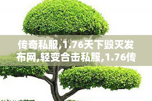 传奇私服,1.76天下毁灭发布网,轻变合击私服,1.76传奇sf网站,轻变合击私服