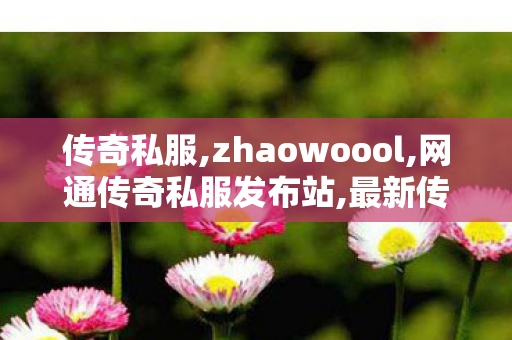 传奇私服,zhaowoool,网通传奇私服发布站,最新传世私服,网通传奇私服发布站