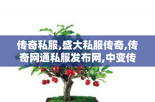 传奇私服,盛大私服传奇,传奇网通私服发布网,中变传奇合击私服,传奇网通私服发布网