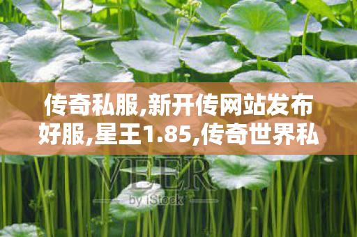 传奇私服,新开传网站发布好服,星王1.85,传奇世界私服版本下载,星王1.85