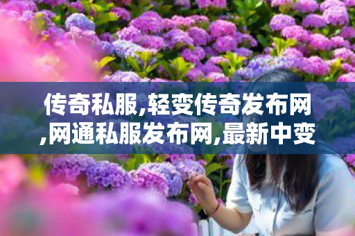 传奇私服,轻变传奇发布网,网通私服发布网,最新中变传奇网址,网通私服发布网