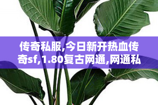 传奇私服,今日新开热血传奇sf,1.80复古网通,网通私服发布网,1.80复古网通