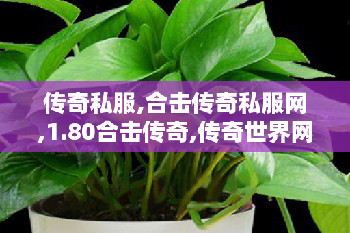 传奇私服,合击传奇私服网,1.80合击传奇,传奇世界网站发布网,1.80合击传奇