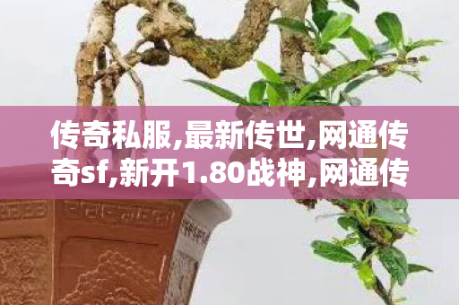 传奇私服,最新传世,网通传奇sf,新开1.80战神,网通传奇sf