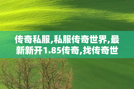 传奇私服,私服传奇世界,最新新开1.85传奇,找传奇世界私服网站,最新新开1.85传奇