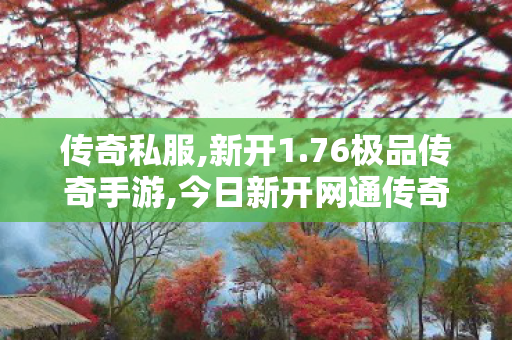 传奇私服,新开1.76极品传奇手游,今日新开网通传奇,1.95连击,今日新开网通传奇