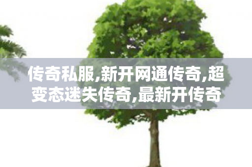 传奇私服,新开网通传奇,超变态迷失传奇,最新开传奇世界私服,超变态迷失传奇