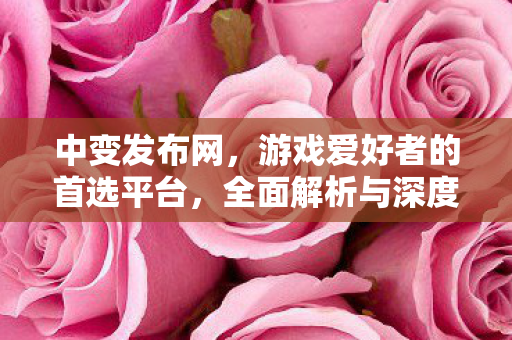 中变发布网，游戏爱好者的首选平台，全面解析与深度体验