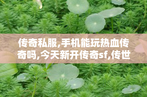 传奇私服,手机能玩热血传奇吗,今天新开传奇sf,传世sf发布网站,今天新开传奇sf