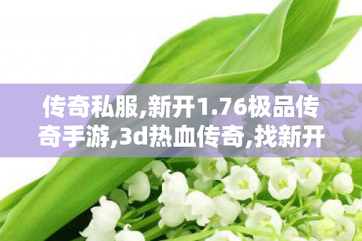 传奇私服,新开1.76极品传奇手游,3d热血传奇,找新开传世私服,3d热血传奇