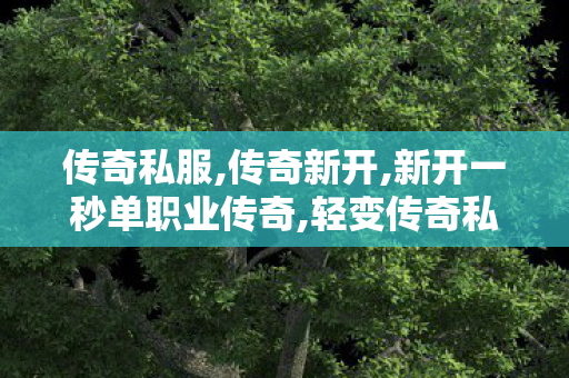 传奇私服,传奇新开,新开一秒单职业传奇,轻变传奇私服发布网,新开一秒单职业传奇