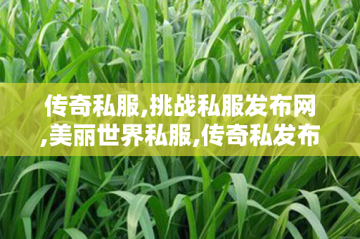 传奇私服,挑战私服发布网,美丽世界私服,传奇私发布网服,美丽世界私服