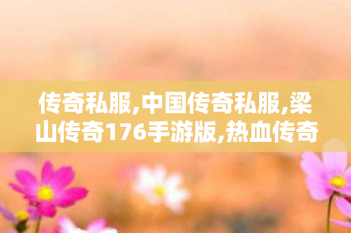 传奇私服,中国传奇私服,梁山传奇176手游版,热血传奇2私服发布网,梁山传奇176手游版