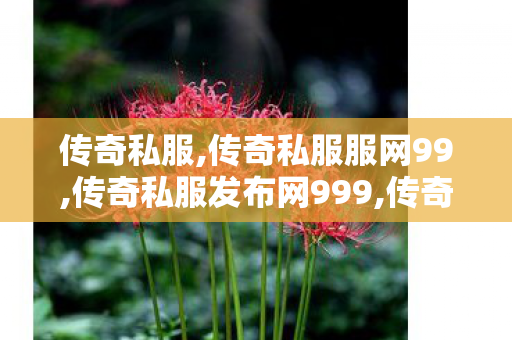 传奇私服,传奇私服服网99,传奇私服发布网999,传奇私服开机发布,传奇私服发布网999