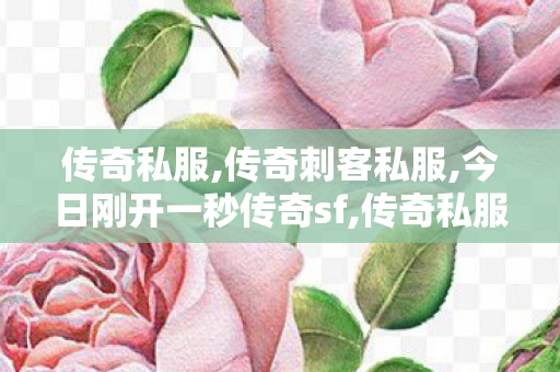 传奇私服,传奇刺客私服,今日刚开一秒传奇sf,传奇私服老版本,今日刚开一秒传奇sf
