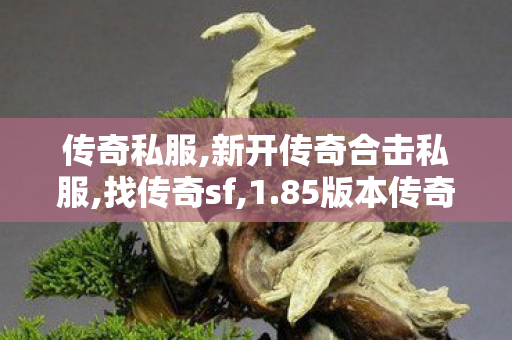 传奇私服,新开传奇合击私服,找传奇sf,1.85版本传奇私服,找传奇sf