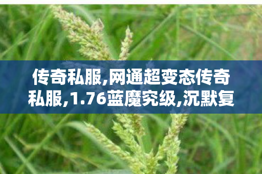 传奇私服,网通超变态传奇私服,1.76蓝魔究级,沉默复古传奇私服,1.76蓝魔究级