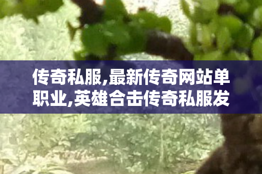 传奇私服,最新传奇网站单职业,英雄合击传奇私服发布网,1传奇私服,英雄合击传奇私服发布网