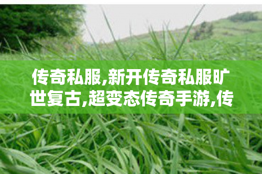 传奇私服,新开传奇私服旷世复古,超变态传奇手游,传奇私服2020,超变态传奇手游