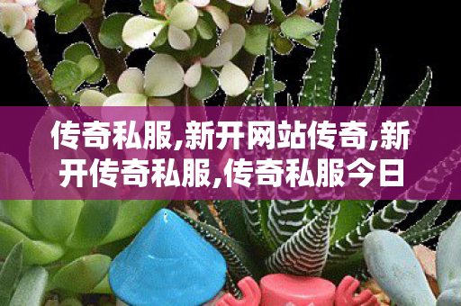传奇私服,新开网站传奇,新开传奇私服,传奇私服今日新开,新开传奇私服
