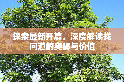 探索最新开篇，深度解读找问道的奥秘与价值