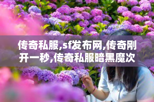 传奇私服,sf发布网,传奇刚开一秒,传奇私服暗黑魔次十八大陆,传奇刚开一秒