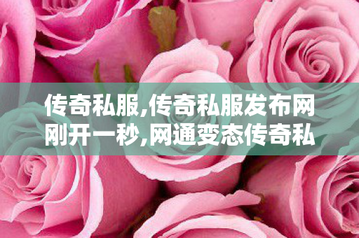 传奇私服,传奇私服发布网刚开一秒,网通变态传奇私服,新开sf999发布网,网通变态传奇私服