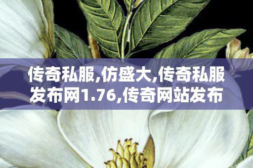 传奇私服,仿盛大,传奇私服发布网1.76,传奇网站发布,传奇私服发布网1.76