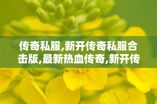 传奇私服,新开传奇私服合击版,最新热血传奇,新开传奇单职业网站发布网,最新热血传奇