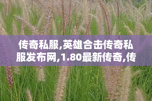 传奇私服,英雄合击传奇私服发布网,1.80最新传奇,传奇私服广告发布,1.80最新传奇