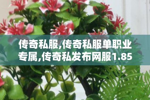 传奇私服,传奇私服单职业专属,传奇私发布网服1.85,热门传奇私服,传奇私发布网服1.85