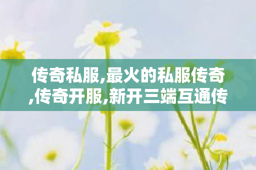 传奇私服,最火的私服传奇,传奇开服,新开三端互通传奇发布网站,传奇开服