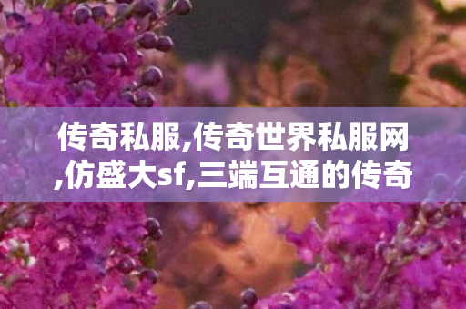 传奇私服,传奇世界私服网,仿盛大sf,三端互通的传奇手游发布网站,仿盛大sf