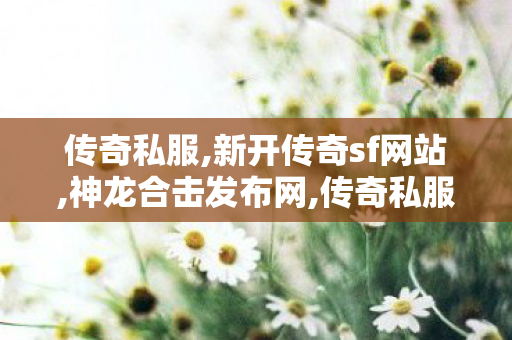 传奇私服,新开传奇sf网站,神龙合击发布网,传奇私服三职业发布网,神龙合击发布网